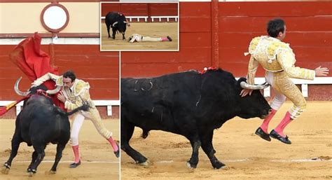 Famous Matador Is Gored Directly In The Butt After Stabbing It During