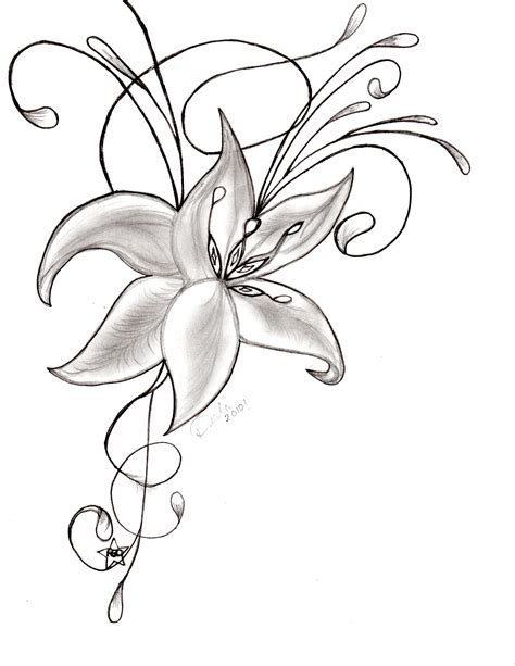 Easy Orchid Drawing Orchid Flowers