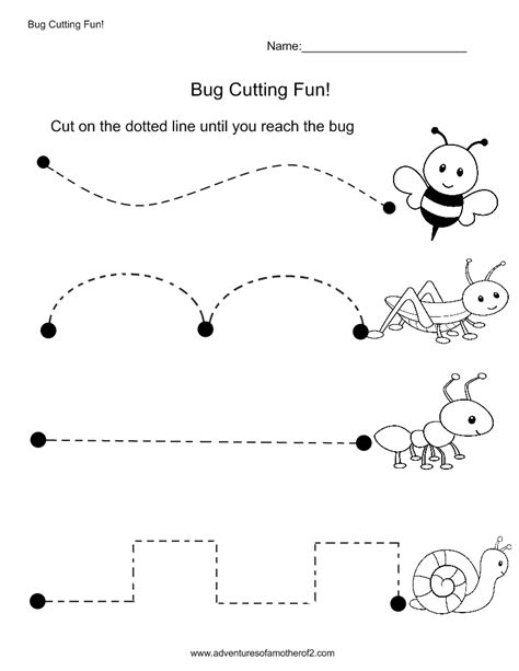 10 Best Images Of Practice Scissor Skills Worksheets Free Printable