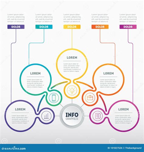 Business Presentation Or Infographic With 5 Options Vector Dynamic