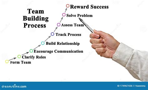 Team Building Process Stock Photo Image Of Assess Encourage 174967436