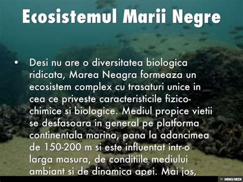 Ecosistemul Marii Negre Ppt