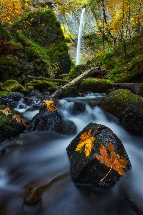 🇺🇸 Elowah Falls Oregon By Dylan Toh And Marianne Lim On 500px