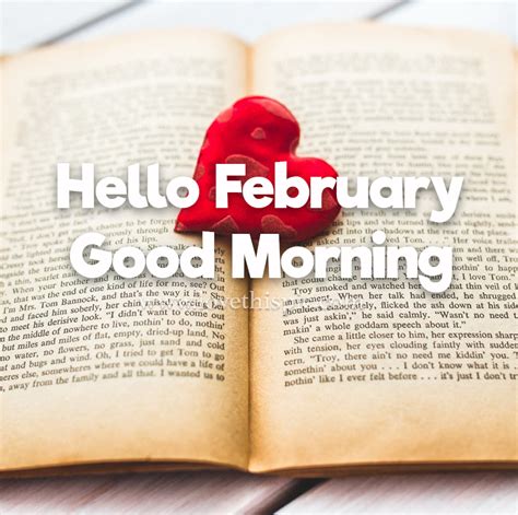 Hello February Good Morning Quote Pictures Photos And