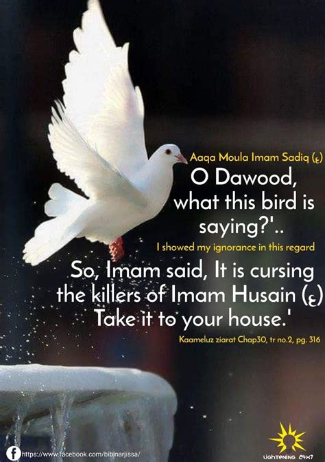 Imam Ali Quotes Jafar Lightening Mercy Ignore Islam Sayings