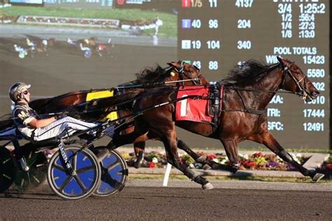 Pin By Vanessa On Harness Racing Harness Racing In This Moment Animals