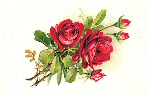 Joy Design Studio Vintage Art Roses Group Prints Postcard Flower Art