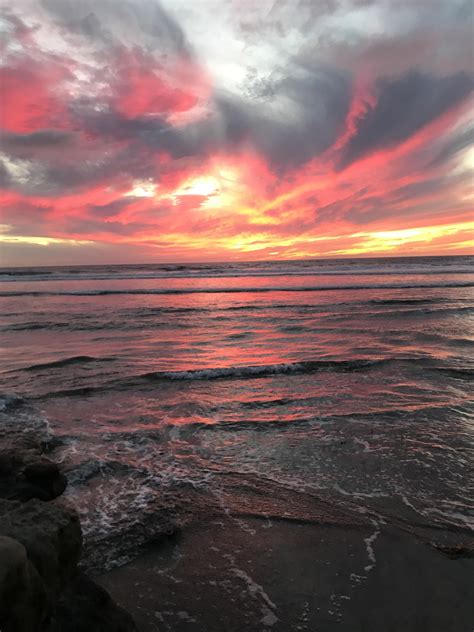 Sunset At Del Mar Dog Beach Sandiego