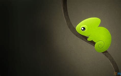 Free Download Cute Chameleon Wallpapers Cute Chameleon Stock Photos
