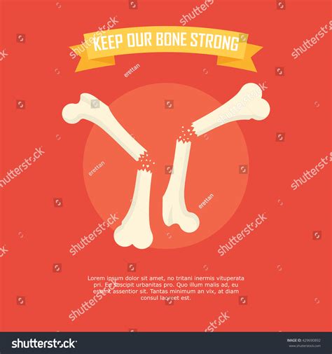 Bone Illustration Vector Stock Vector Royalty Free 429690892