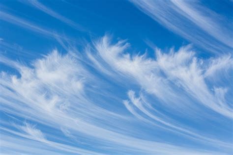 Identifying The 10 Types Of Clouds Pictures And Chart 14 Seldom Ones