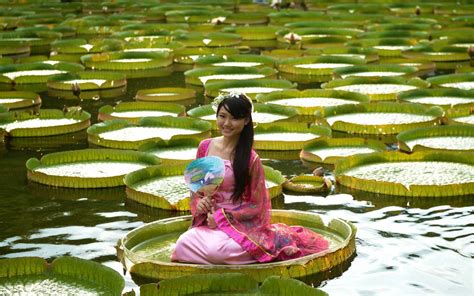 You Can Actually Sit On Giant Lily Pads In This Taipei Park Lily Pads Lily Lily Pond