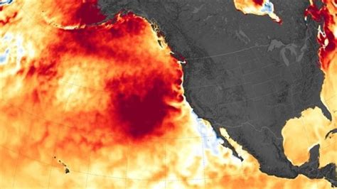 Environmental News Network Linking Climate Conditions To Marine Heatwaves