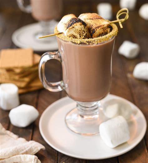 17 surprising hot chocolate recipes you need this winter hot chocolate recipes smores hot