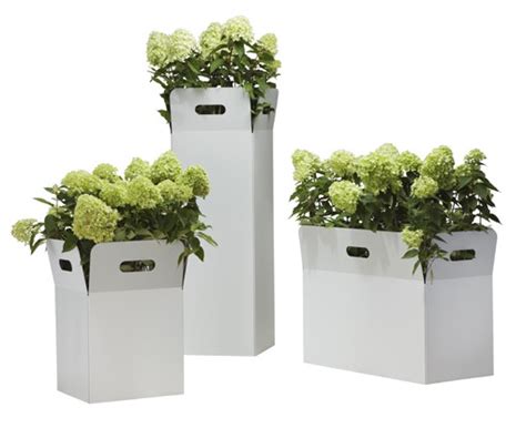 Read on for our expert tips on how to move your plants safely—including a handy trick using an old gym class tool—and what to do to help them get. Gardening With Recycled Moving Supplies - Moving Insider
