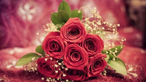 Roses Red Bouquet Gypsophila Blossoms Petals Hd Wallpaper Peakpx