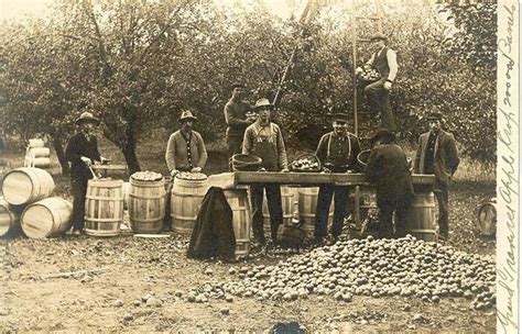 Hard cider and log cabin almanac. 49 best images about Cider Art on Pinterest