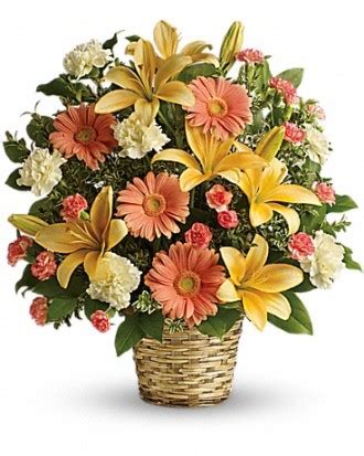 Главная/разъемы/гнезда для микросхем/tf 183 (fischer elektronik). James White & Sons Flowers & Gifts Flowers to Pine Hills Cemetery Scarborough , ON, M1K4G7 FTD ...