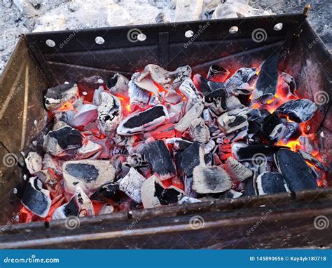 Burning Coals And Firewood On The Grill Grate Preparation Of Coal For