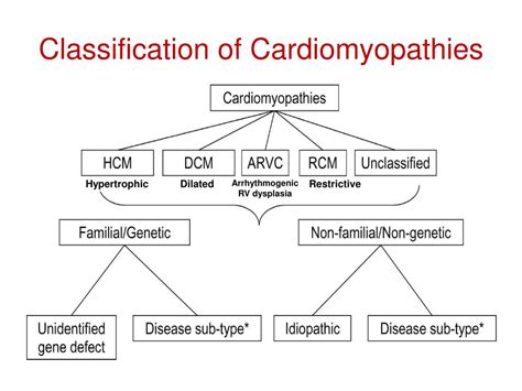 Ppt Cardiomyopathies Andre Keren Md Powerpoint Presentation Free