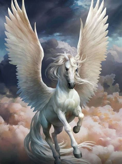 Pin By Favorite Collection On Pegaso Pegasus Art Unicorn Pictures