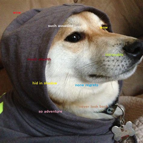 Image 582644 Doge Know Your Meme