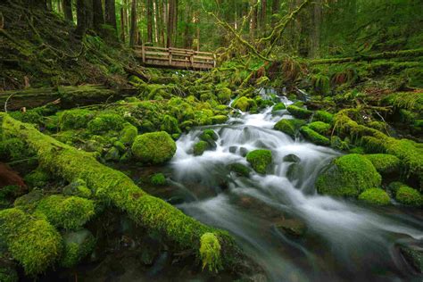 A Guide To Olympic National Park