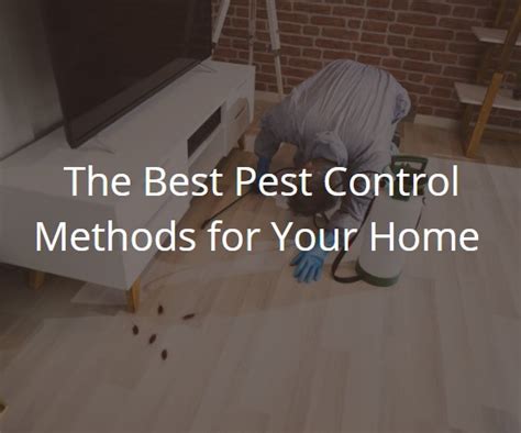 The Best Pest Control Methods For Your Home Attack Pest Management
