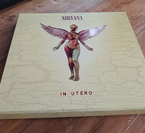 Nirvana In Utero 20th Anniversary Edition Box Set Catawiki