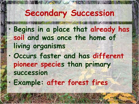 Ppt Changes In Ecosystems Ecological Succession Powerpoint