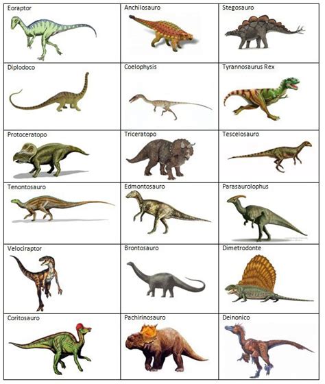 Types Of Dinosaurs With Names And Pictures Picturemeta