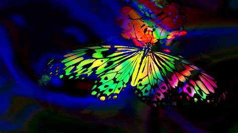 Rainbow Butterfly Wallpapers Top Free Rainbow Butterfly