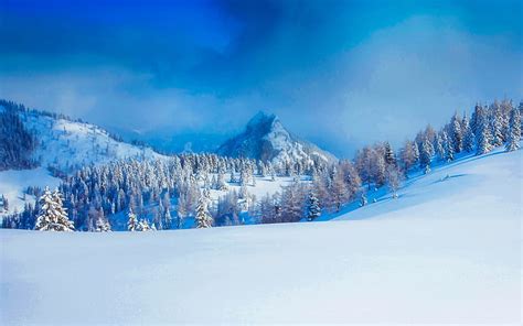 Snowdrift Austria Snow Forest Trees Photo Landscape Winter Wallpaper Hd