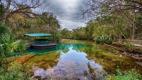 Ellie Schiller Homosassa Springs Wildlife State Park Orlando Foto