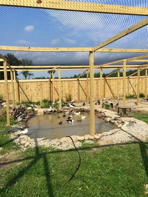 Bedding is laid on top of the wire mesh 3+ inches thick to protect duck feet. Pin on Chicken coop accessories