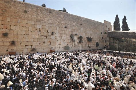 אין ספק כי חשיפת נדבכי הכותל המערבי ומרכיביה של קשת וילסון הם. Judyjsthoughts: הכותל המערבי תמונה