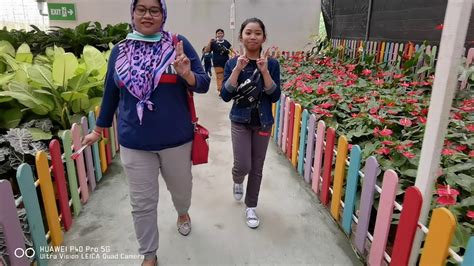 Today, we are going to cover the strawberry farm section. Strawberry farm Genting Highlands(1) - YouTube