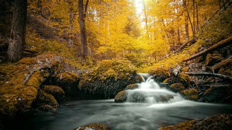 Stream On Yellow Foliage Covered Rock During Daytime Hd Nature