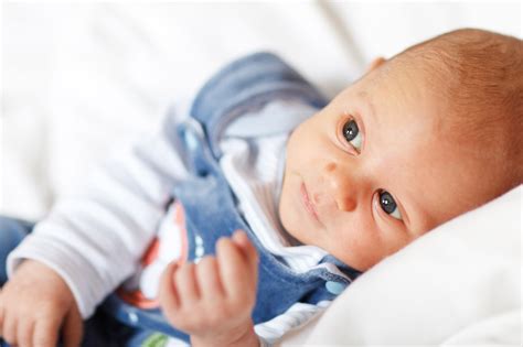 Baby Portrait Free Stock Photo Public Domain Pictures