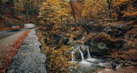 Best Places to Live in Western North Carolina