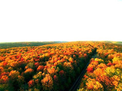 When And Where To View The Best Fall Foliage In Pa Visitpa
