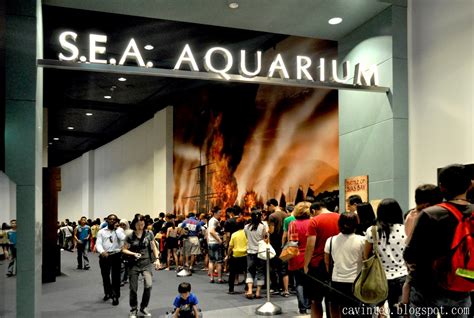 Entree Kibbles Sea Aquarium Worlds Largest Aquarium And Worlds
