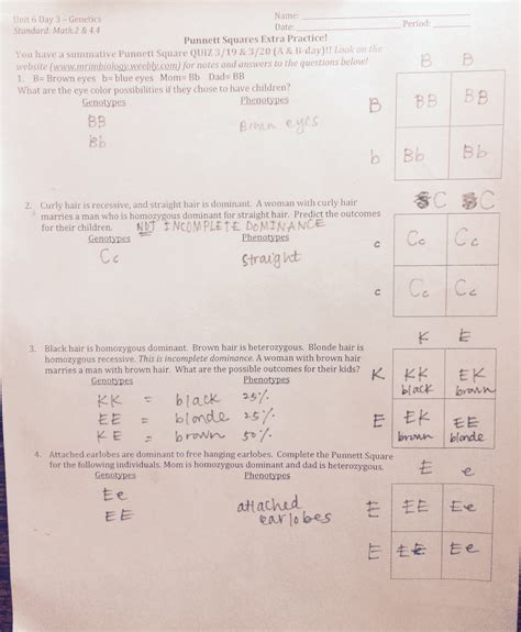 Complete the punnett square to show the. Punnett Square Practice #3 Spongebob Squarepants / Punnett ...