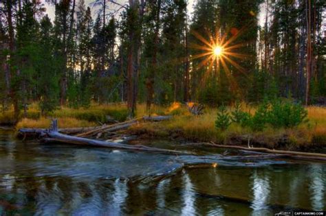 River Flowing To Yellowstone National Park Wyoming Hdr Photography By