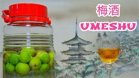 Check spelling or type a new query. UMESHU - Il liquore di prugne giapponese (videoricetta ...