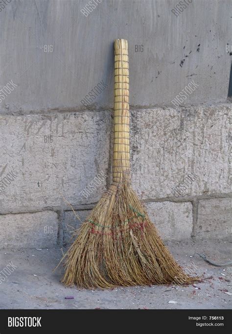 Chinese Broom Image And Photo Bigstock