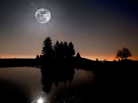 full moon in the evening sky moon water nature reflection trees sky night hd wallpaper