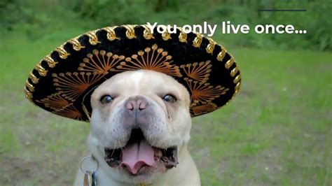 How can i contact mayo and associates, cpa's and business consulting? Happy Cinco De Mayo 2018 from Ray Gernhart & Associates ...