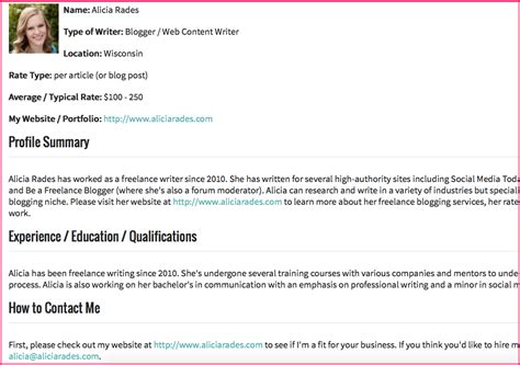 Freelancer Profile Summary Sample