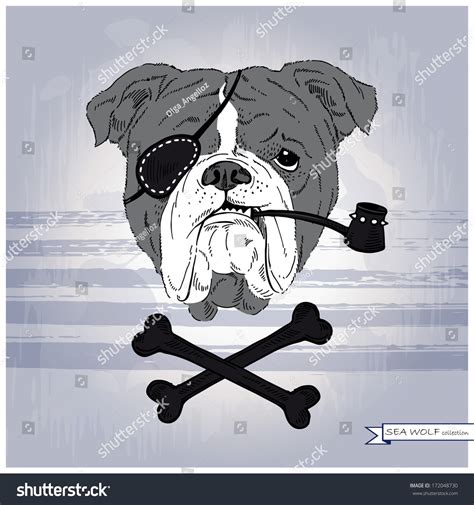 Hand Drawn Illustration Bulldog Pirate Stock Vector Royalty Free